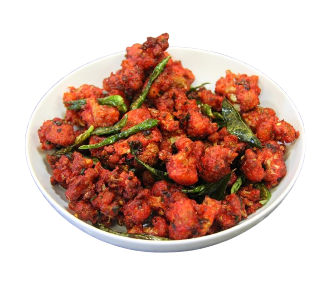 Gobi 65